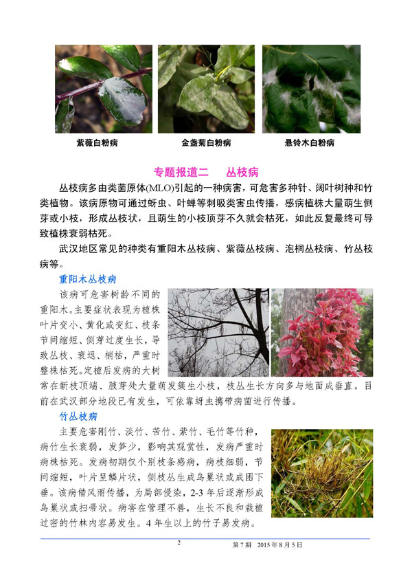 武汉园林植保信息2015年第7期