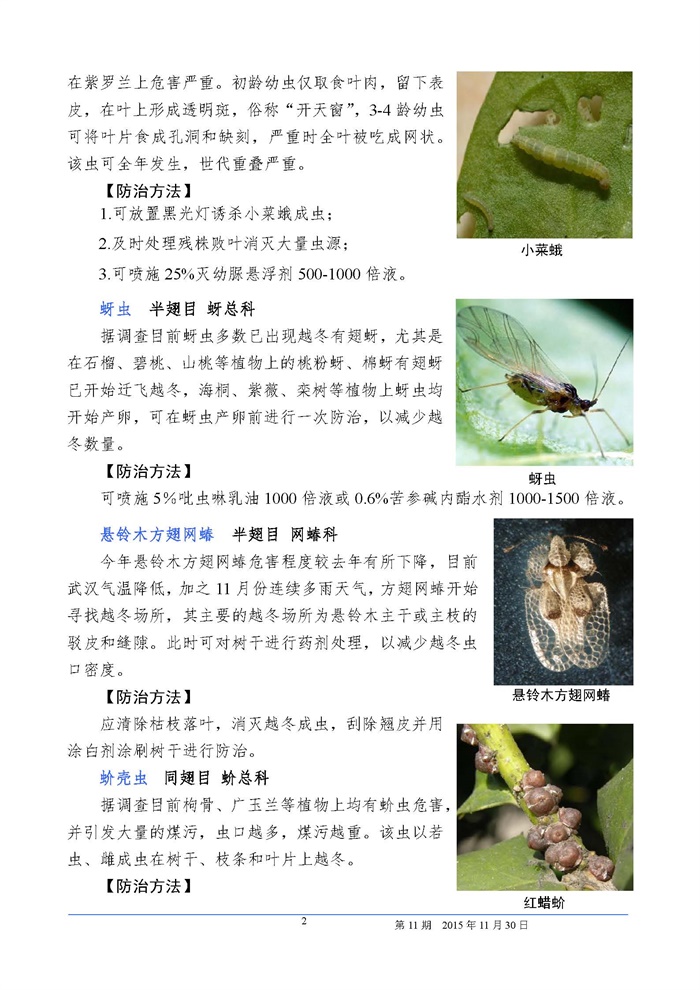 武汉园林植保信息2015年第11期