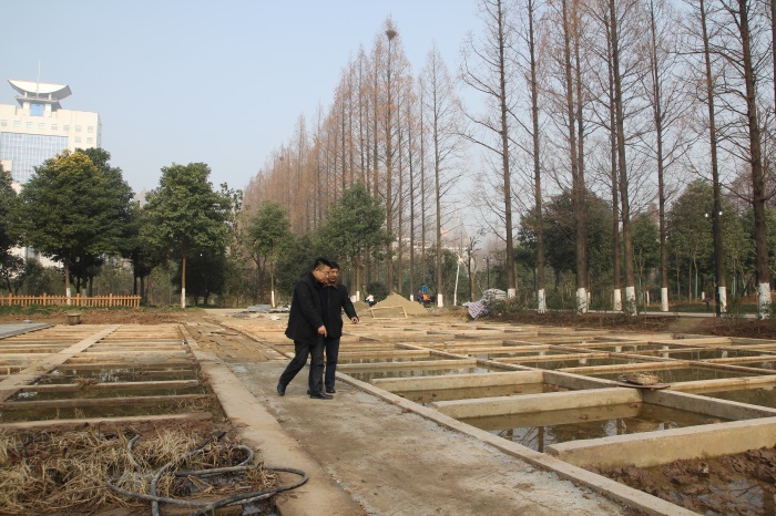 舒局长查看水生植物展示区的建设