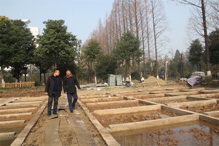 舒局长查看水生植物展示区的建设