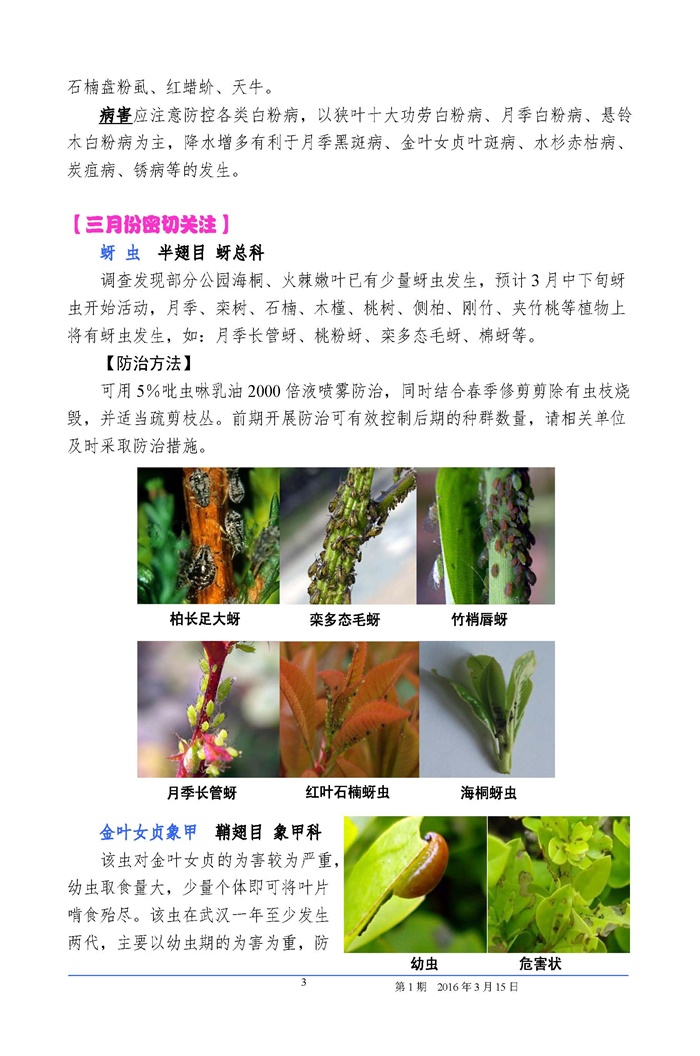 武汉园林植保信息2016年第1期