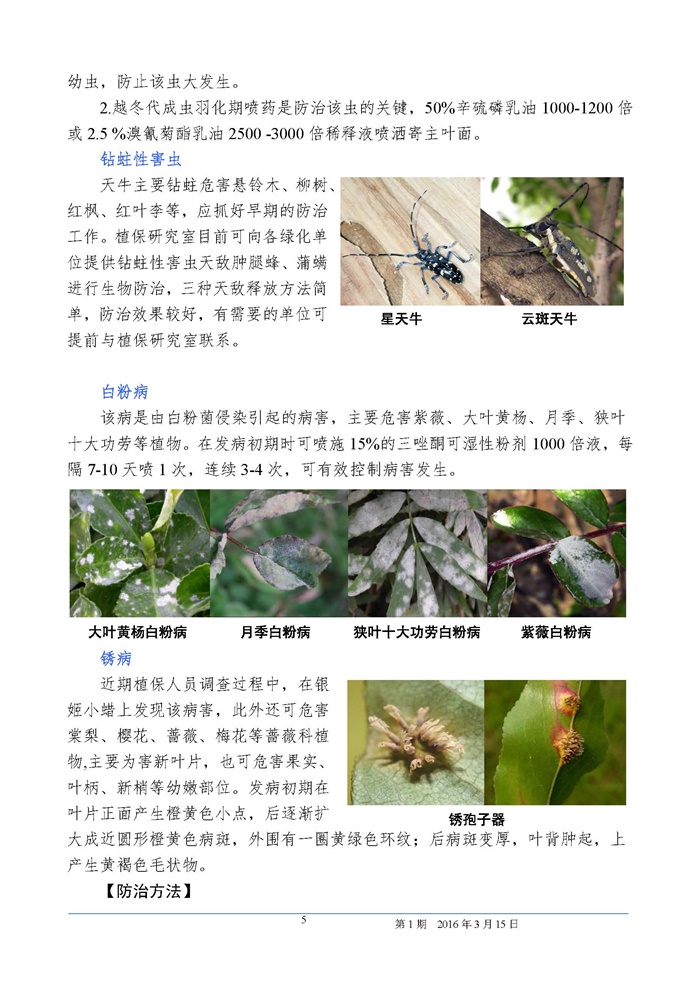 武汉园林植保信息2016年第1期