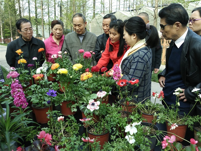 我所新优花卉超市开业，市民享优惠购买新优盆花