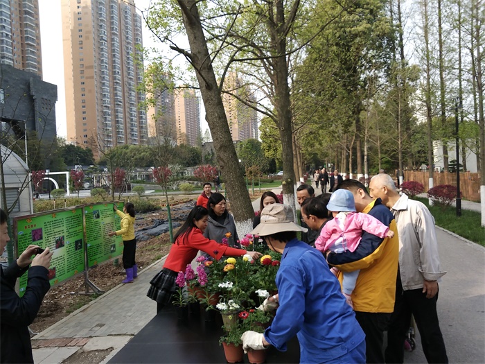 我所新优花卉超市开业，市民享优惠购买新优盆花