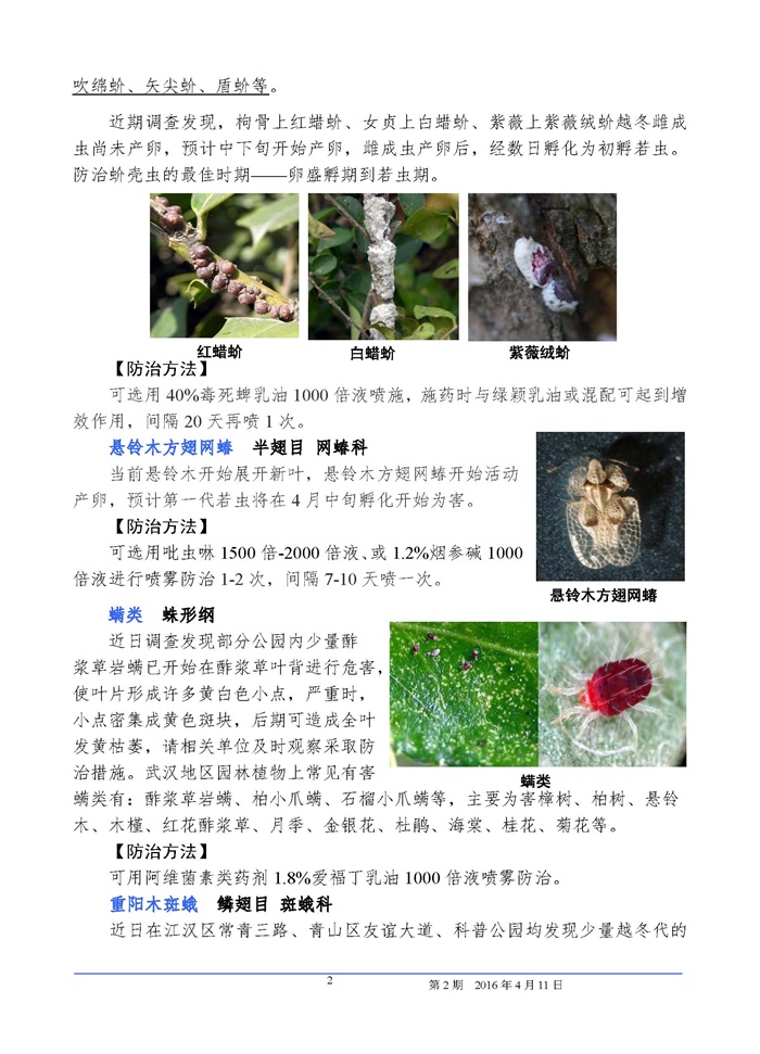 武汉园林植保信息 2016年第2期