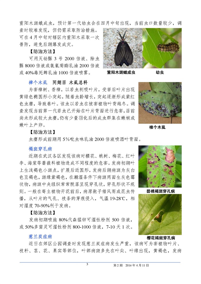 武汉园林植保信息 2016年第2期