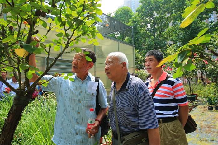科技助力园艺沙龙 ――记园艺沙龙首场科普公园站活动