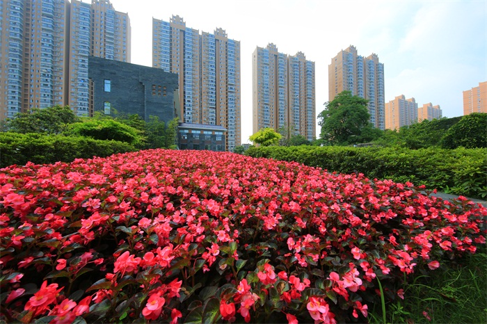 科技助力园艺沙龙 ――记园艺沙龙首场科普公园站活动