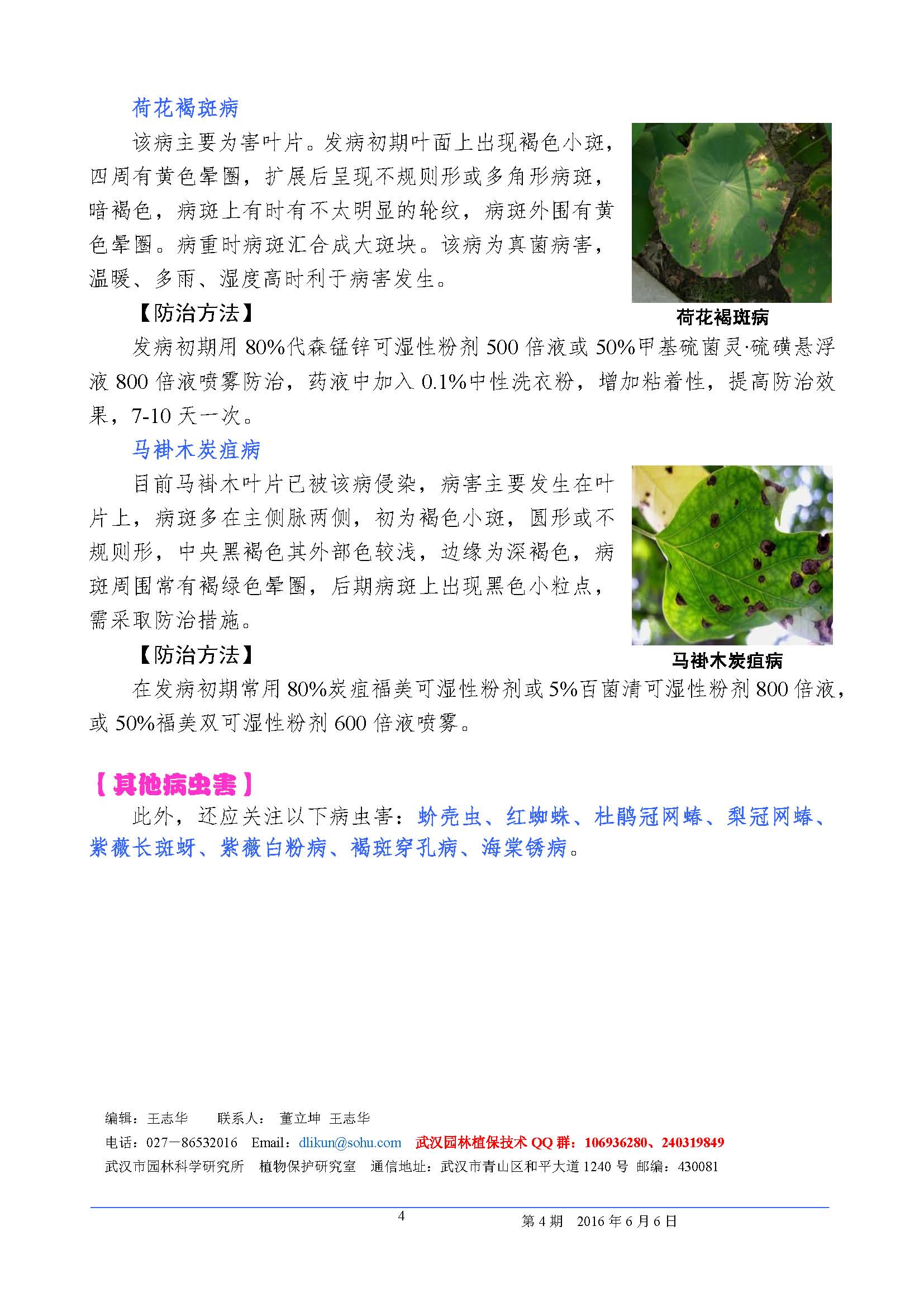 武汉园林植保信息2016年第4期