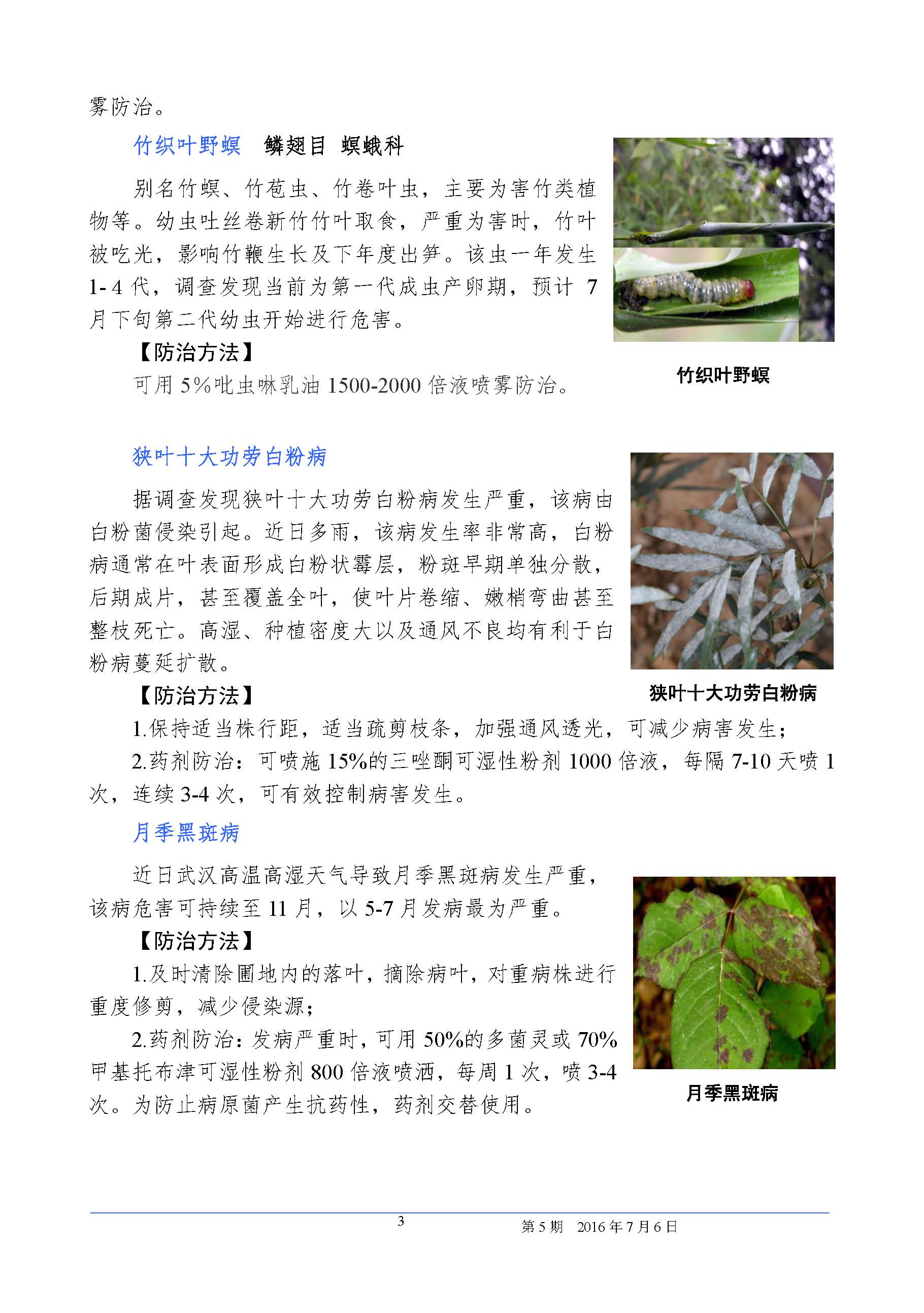 武汉园林植保信息2016年第5期