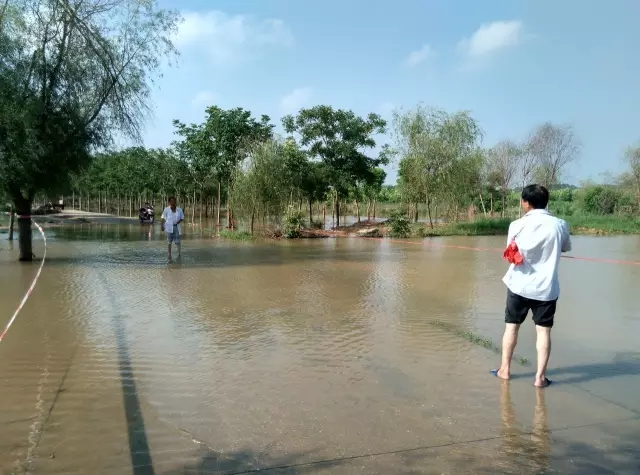 众志成城，鏖战洪灾，市园林科学研究所打响中试基地抗洪救灾保卫战！