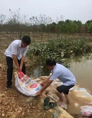 众志成城，鏖战洪灾，市园林科学研究所打响中试基地抗洪救灾保卫战！