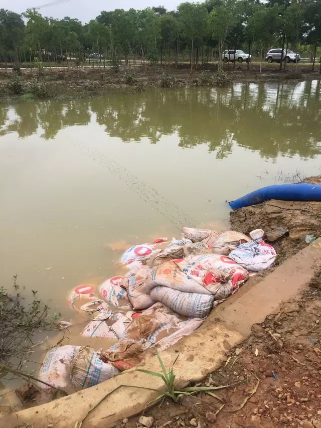 众志成城，鏖战洪灾，市园林科学研究所打响中试基地抗洪救灾保卫战！