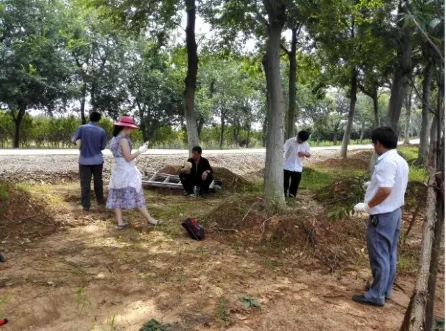 众志成城，鏖战洪灾，市园林科学研究所打响中试基地抗洪救灾保卫战！