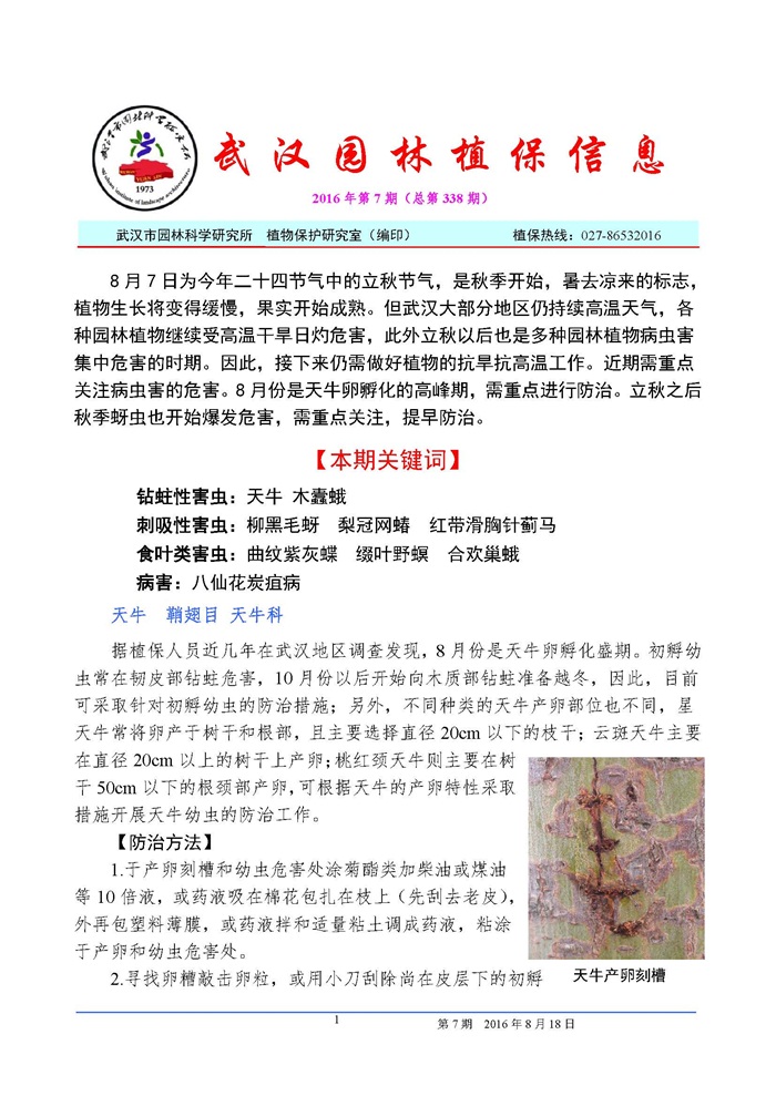 武汉园林植保信息2016年第7期