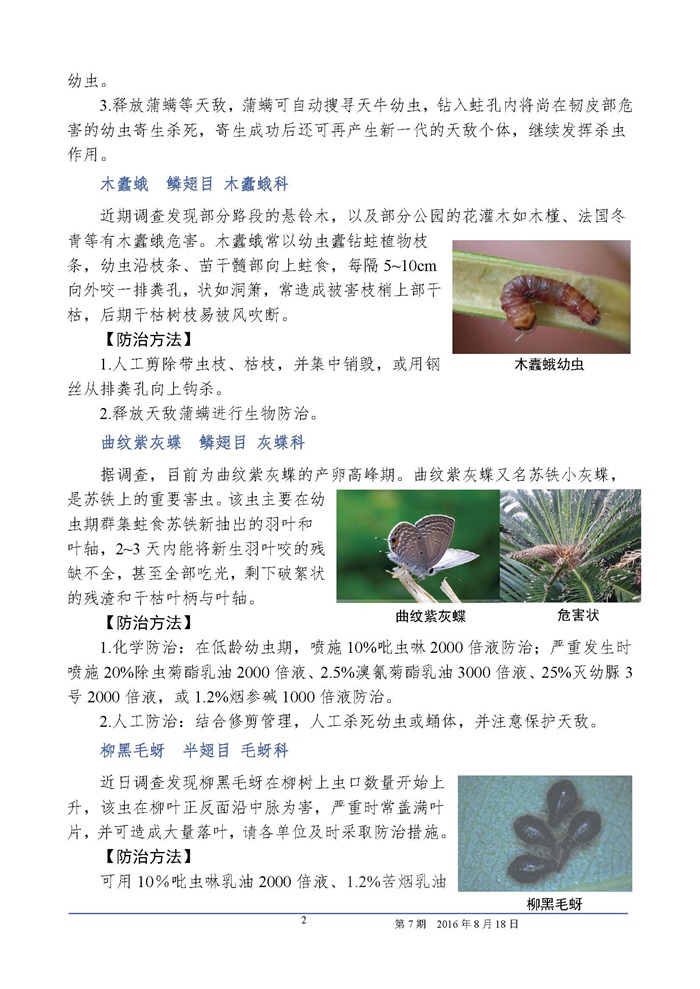 武汉园林植保信息2016年第7期