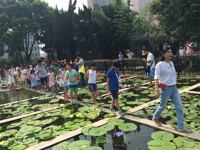 品鉴水生植物 ――记市园林科研所市民园林学校2016年第3期活动