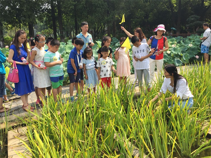 品鉴水生植物 ――记市园林科研所市民园林学校2016年第3期活动