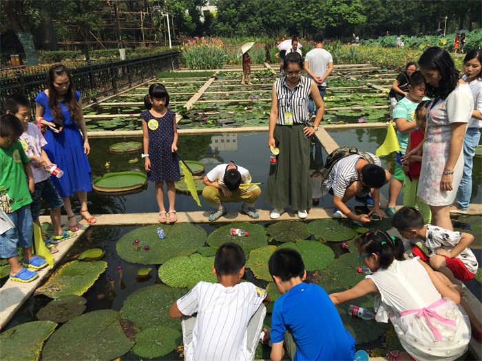 品鉴水生植物 ――记市园林科研所市民园林学校2016年第3期活动