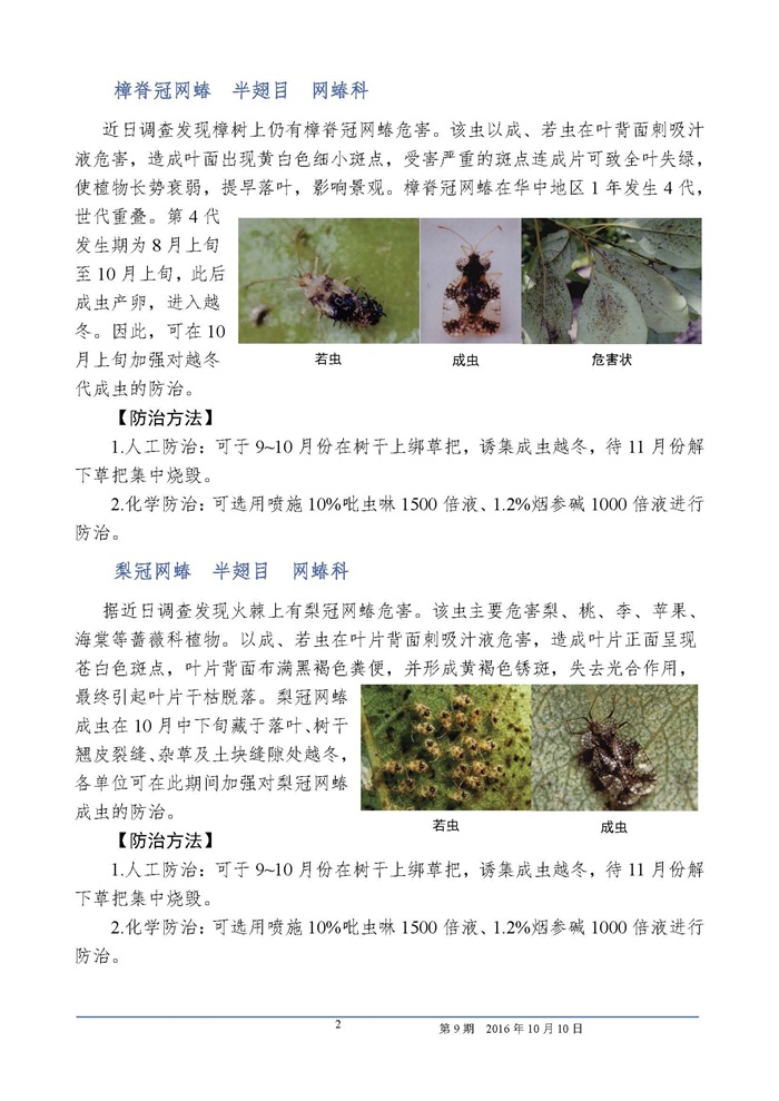 武汉园林植保信息2016年第9期