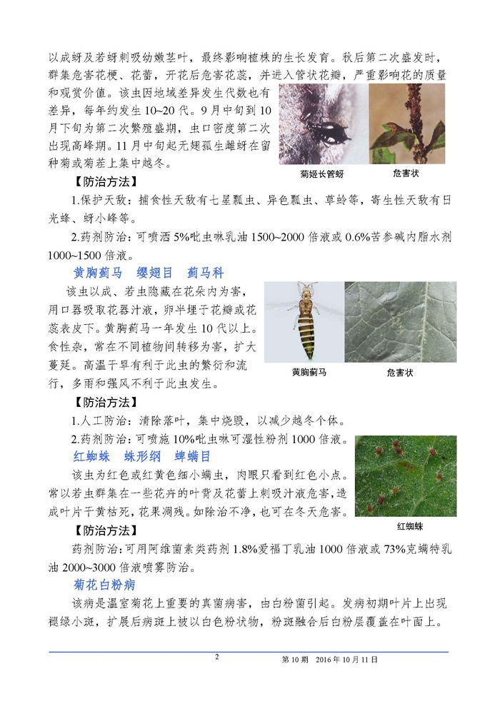 武汉园林植保信息2016年第10期