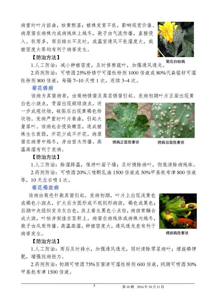 武汉园林植保信息2016年第10期