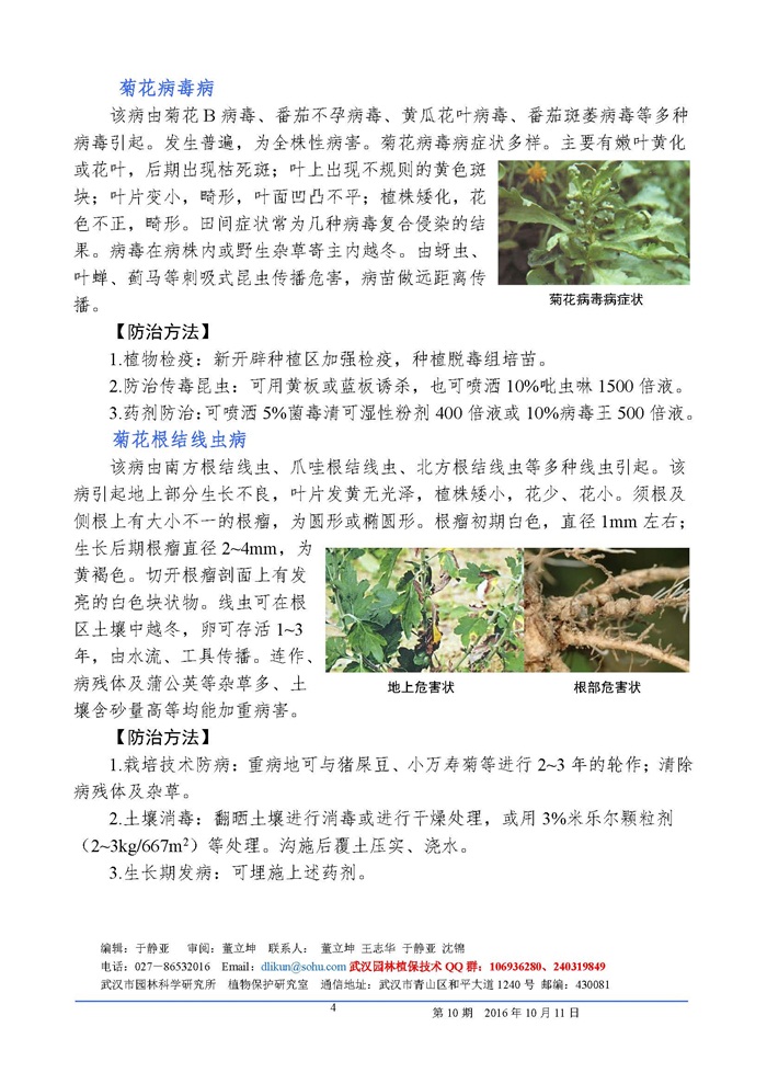 武汉园林植保信息2016年第10期