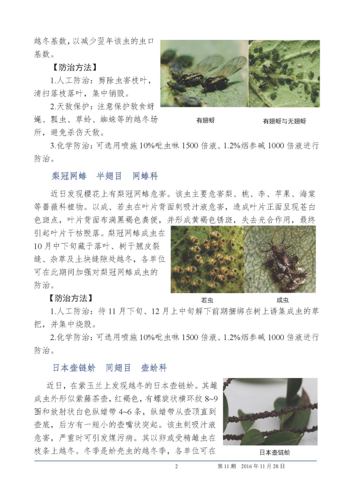 武汉园林植保信息2016年第11期