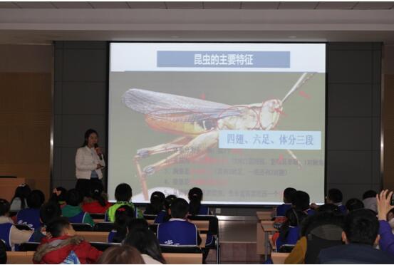 “走进微观世界”系列大课堂之“玻璃瓶里的植物秘密”、“有趣的昆虫嘴巴”       ------记武汉市园林科研所2016市民园林学校第4期活动