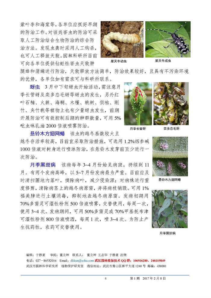 武汉园林植保信息2017年第1期