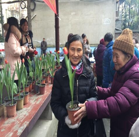 植物医生走进社区――记武汉市园林科研所市民园林学校2017年第1期活动