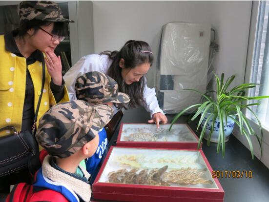 “看标本，认花卉” ――科普公园开展公园大课堂活动