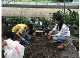 “植物导师课”第二季开学啦！