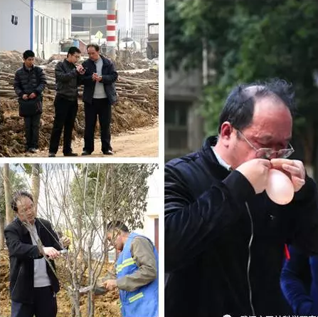 那些时光 不会消散