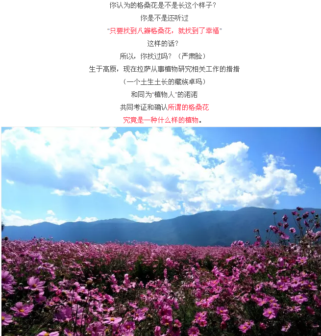 格桑花到底应该是什么样的植物？