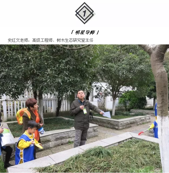 武汉这个公园偏藏奇花异草，周末带你探访这群植物界的远古来客！
