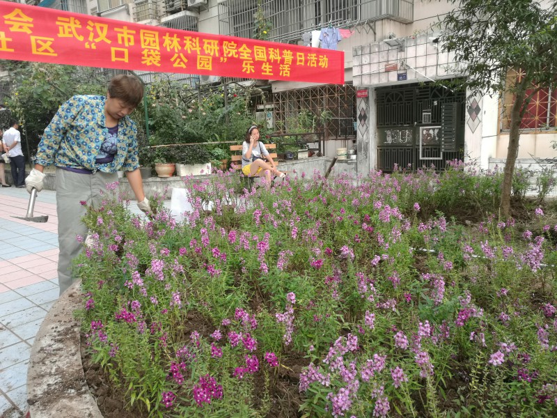全国科普日园林科研院在行动