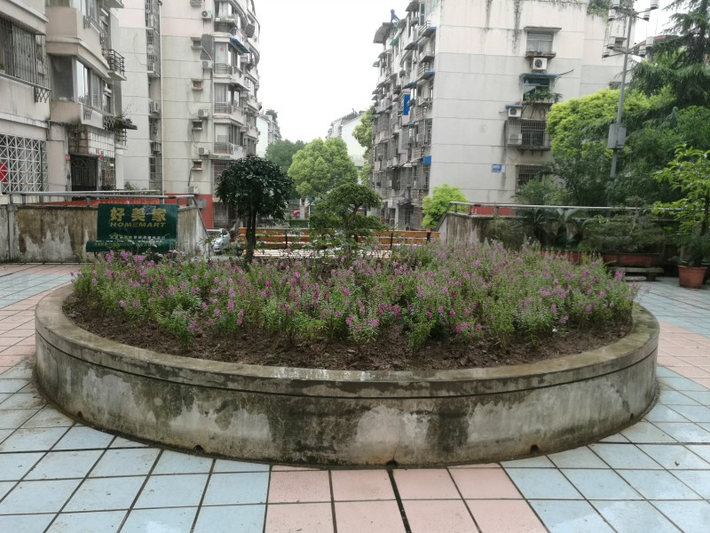 全国科普日园林科研院在行动