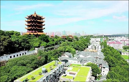 武昌:年底前可完成22个老旧社区绿化提升