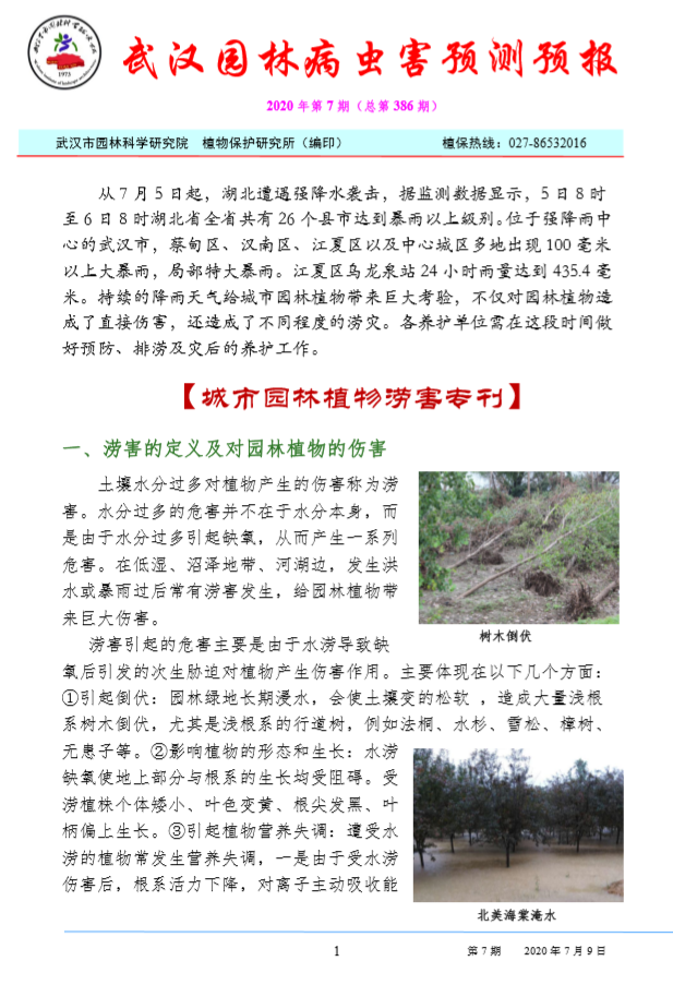 武汉园林病虫害预测预报 2020年第7期