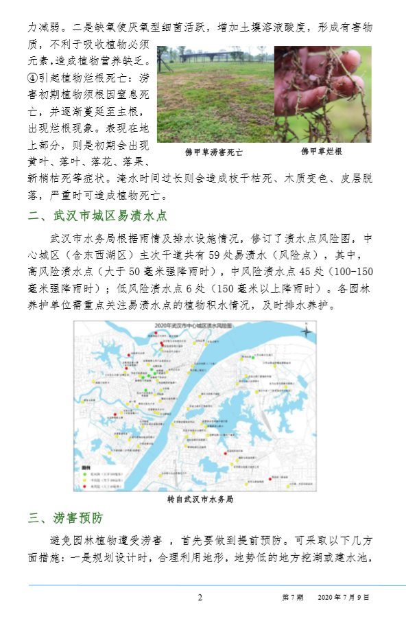 武汉园林病虫害预测预报 2020年第7期