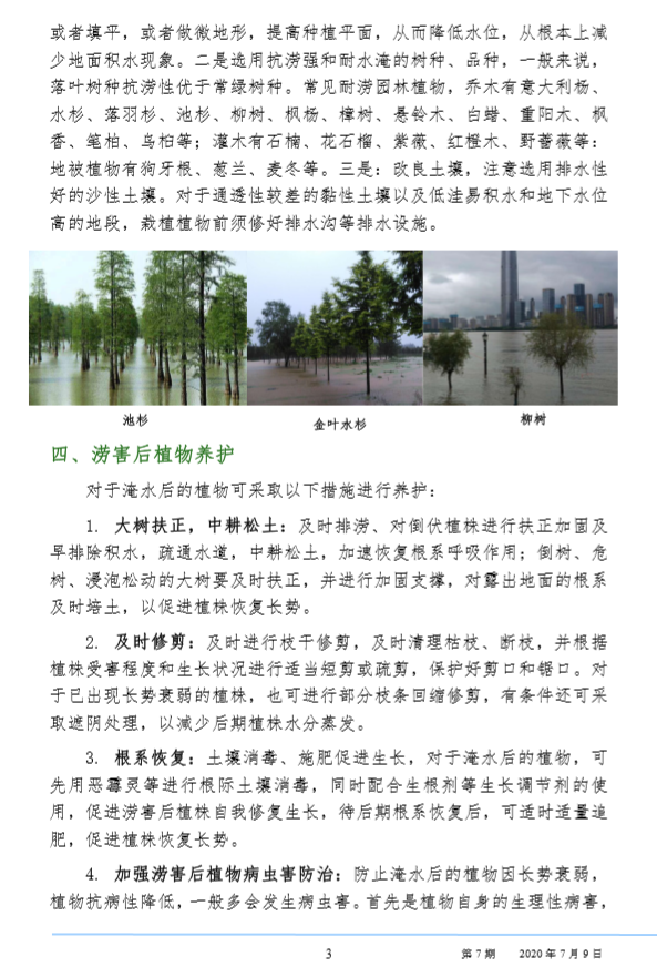 武汉园林病虫害预测预报 2020年第7期
