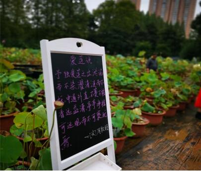 “探秘――《爱莲说》里藏有多少个荷花之谜”――记2020全国科普日武汉市园林科学研究院 市民园林学?？破展婊疃? onmousewheel=