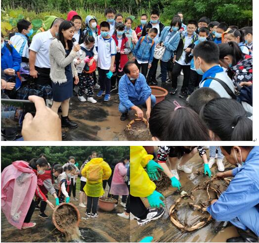 “探秘――《爱莲说》里藏有多少个荷花之谜”――记2020全国科普日武汉市园林科学研究院 市民园林学?？破展婊疃? onmousewheel=