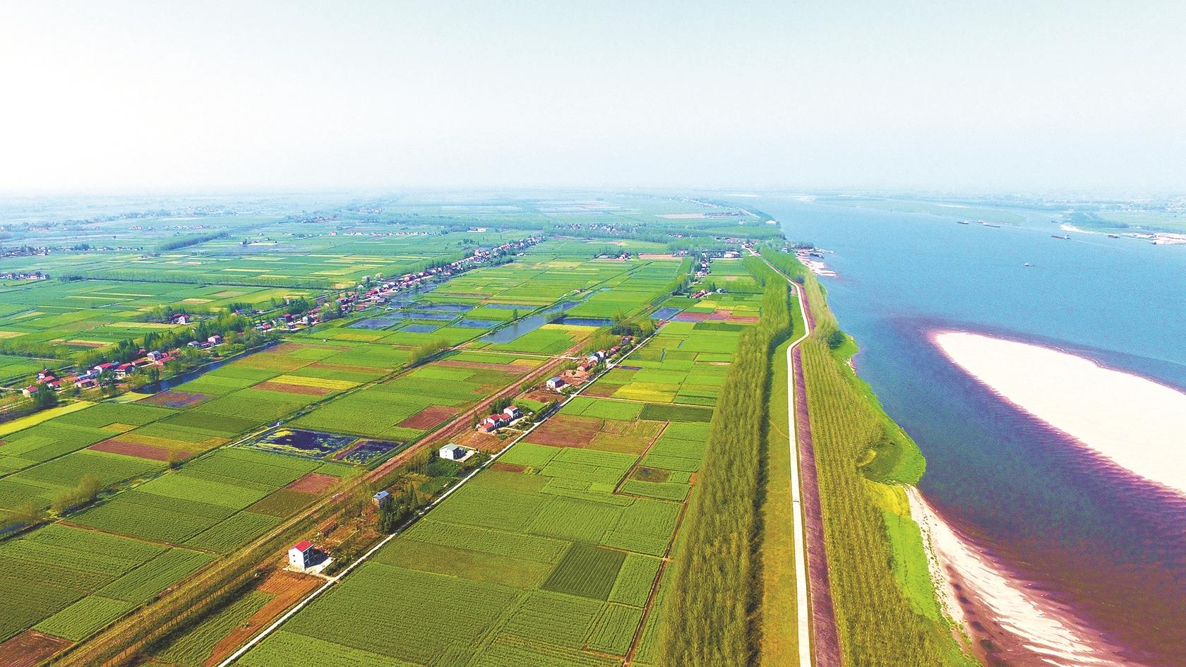 【森林城市系列三】三袁故里 水乡公安