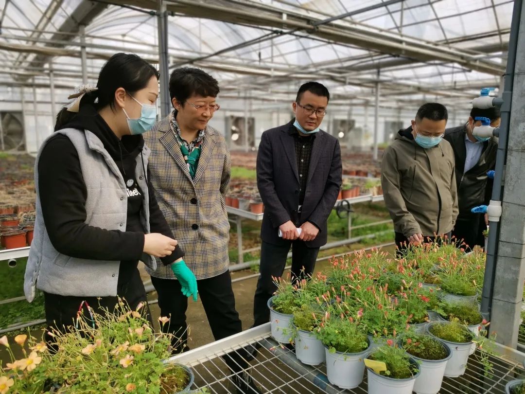 吴俊勤书记到市园科院调研