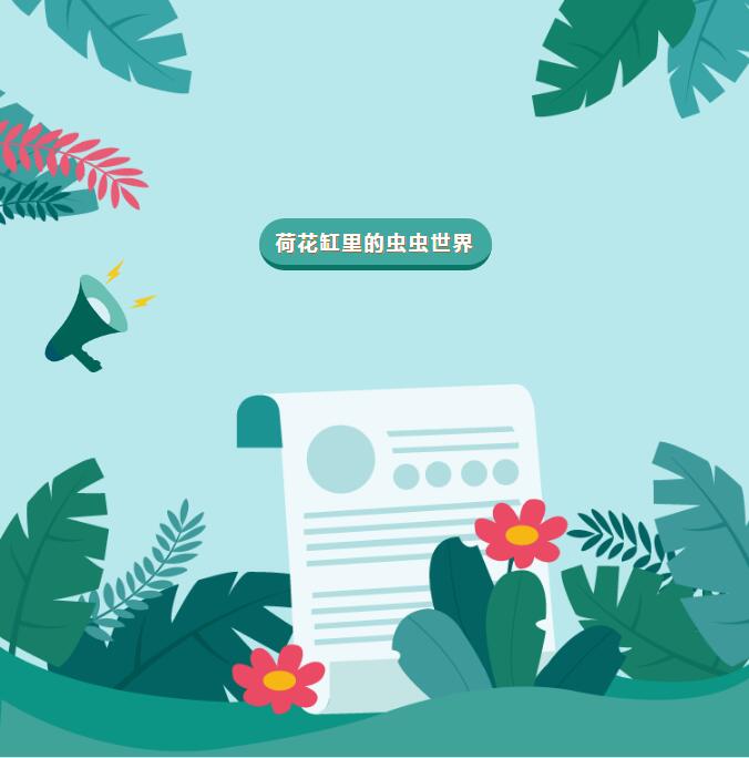 探秘荷花缸里的虫虫世界