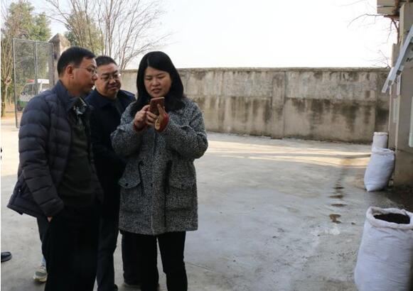 局领导调研科研中试基地