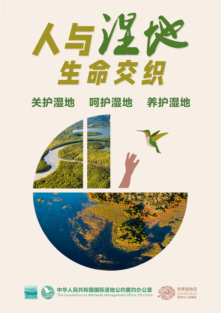 2024世界湿地日