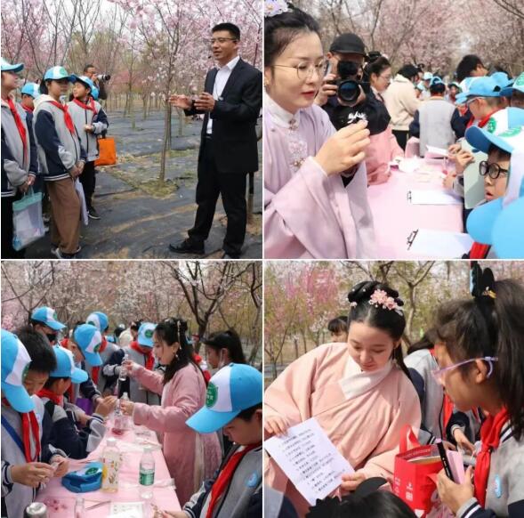 在“国樱摇篮”园科院，共赴樱花嘉年华